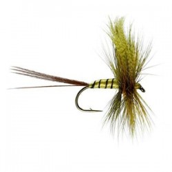 Erne Special Mayfly - 1