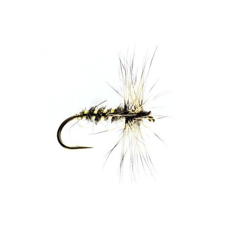 Gold Ribbed Hares Ear - 1