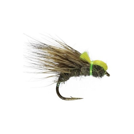 Hares Ear Halfhog - 1