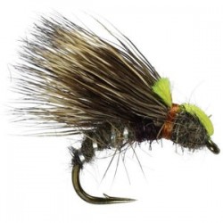 Hares Ear Sedgehog - 1