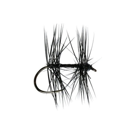Knotted Midge - 1