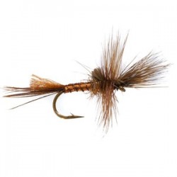 Mayfly Brown Drake Cripple - 1